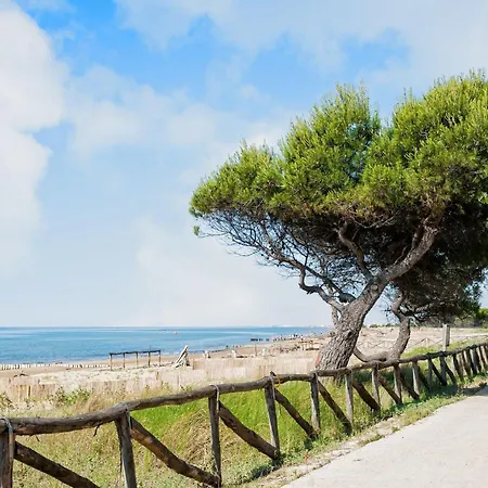 Flat Close To The Sea *